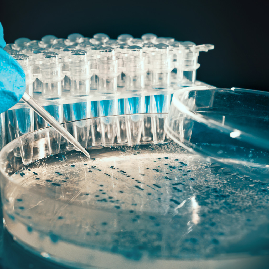 E. Blum & Co. AG - Patent- und Markenanwälte - Mikrobiologie und Zellbiologie