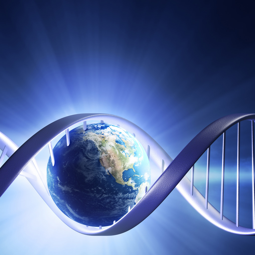 E. Blum & Co. AG - Patent- und Markenanwälte - Molekularbiologie und Biochemie